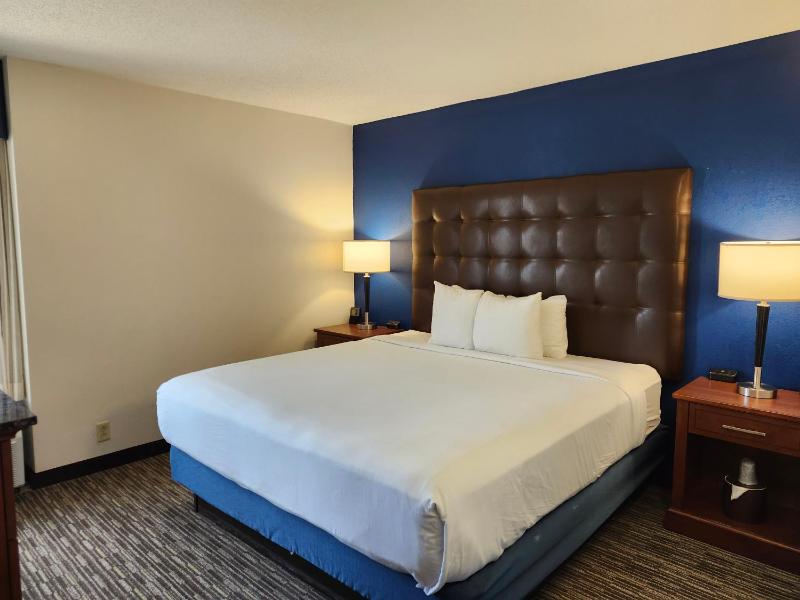 One-Bedroom King Suite - Non-Smoking image 4