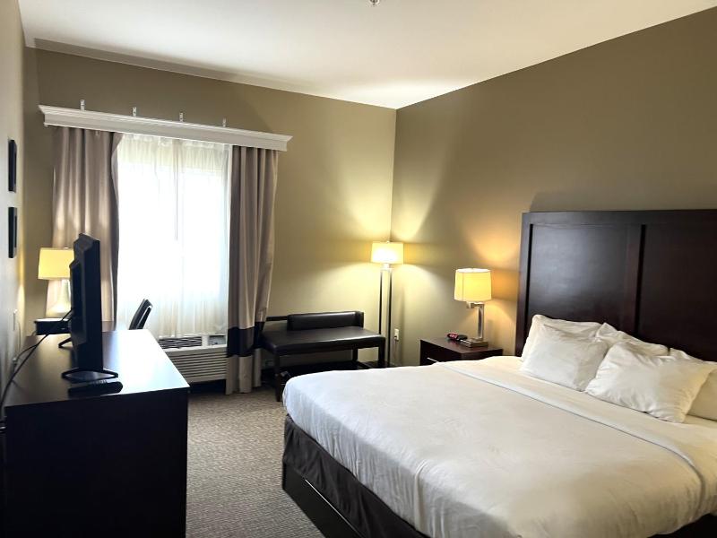 King Room with Mobility Access and Bathtub with Grab Bars, Non-Smoking image 4