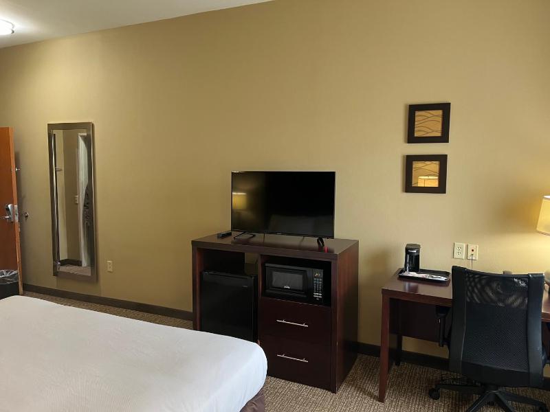 King Room with Mobility Access and Bathtub with Grab Bars, Non-Smoking image 3