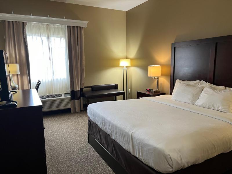 King Room with Mobility Access and Bathtub with Grab Bars, Non-Smoking image 2