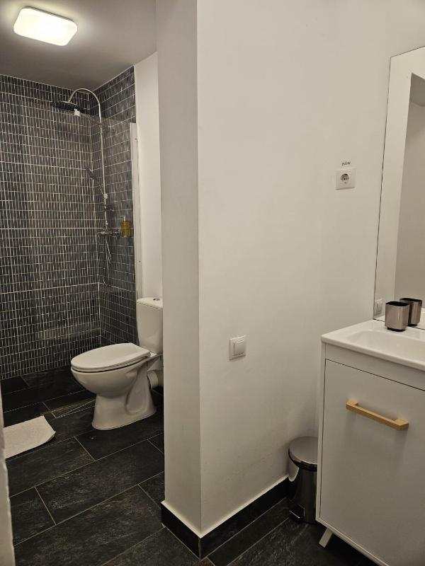 Deluxe Suite image 4