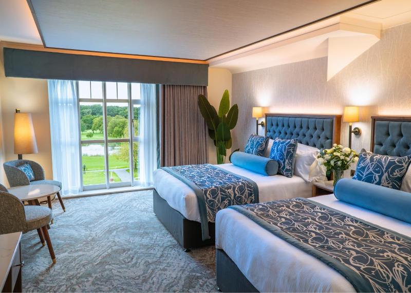Luxury Twin Room image 3