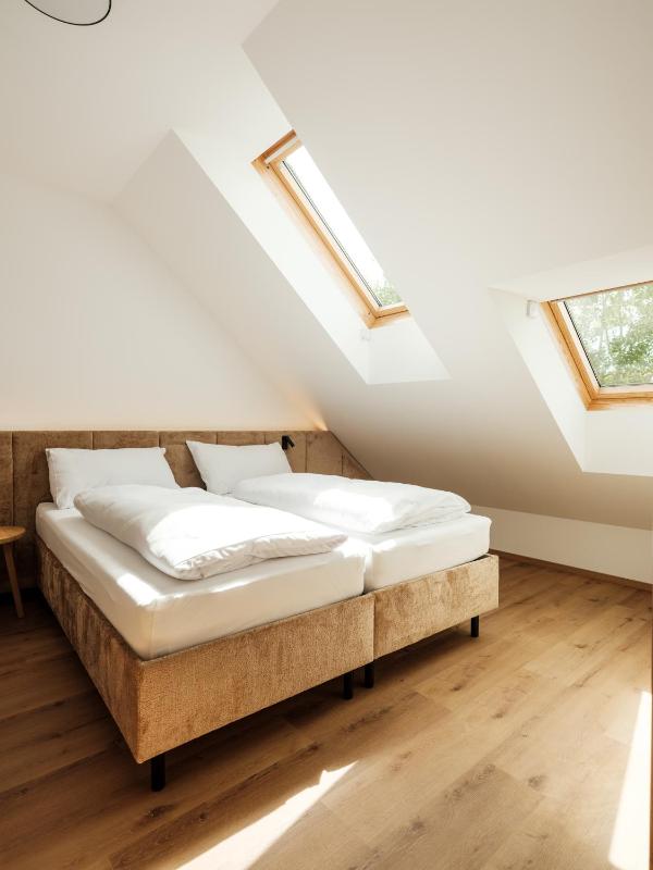 Standard Suite image 2