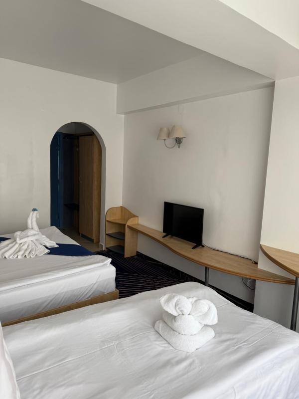Superior Double Room image 3