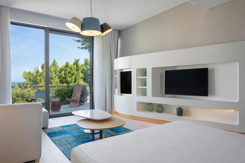 Junior King Suite with Private Pool image 4