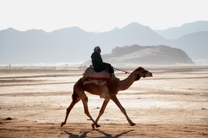 Wanderlust Jordan Camp - image 3