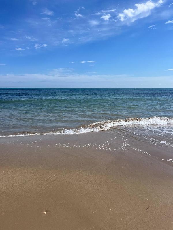 Beautiful apartment in La Mata with sea view - image 8
