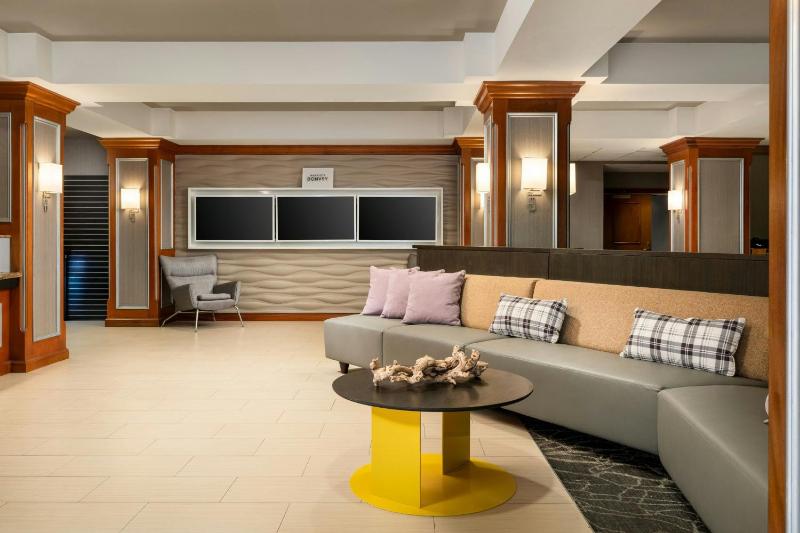 SpringHill Suites by Marriott Tampa Westshore Airport - image 8
