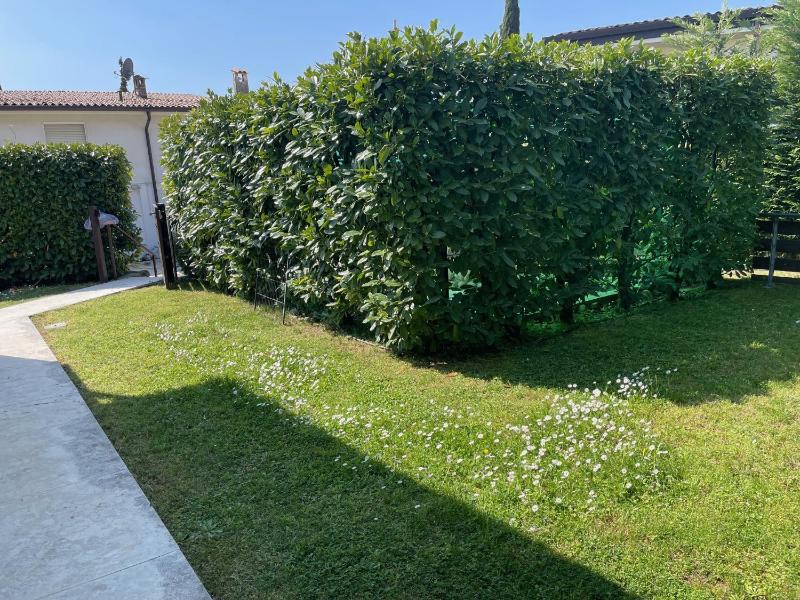 Collina degli Olivi - image 32
