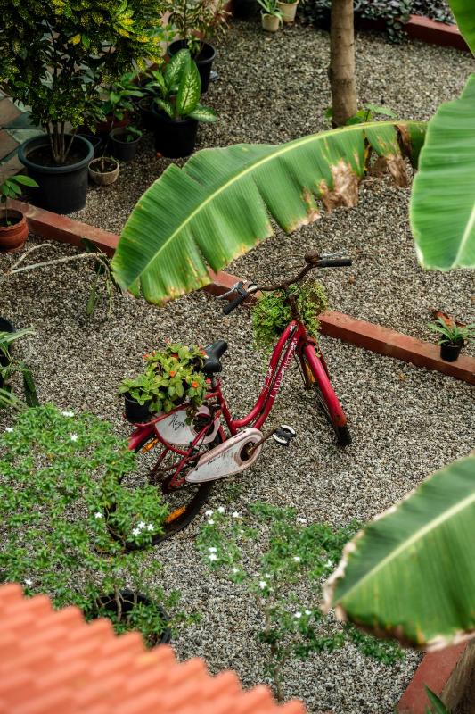 Tropical Villa - image 19