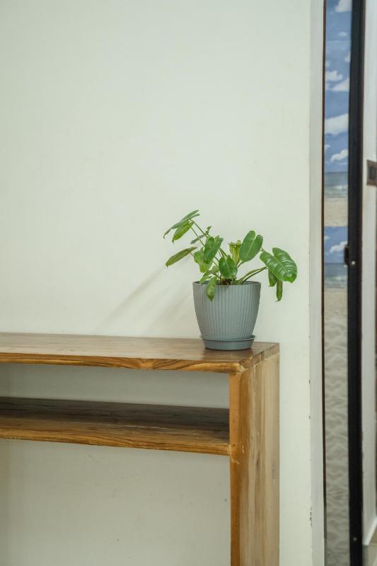 Tropical Villa - image 49