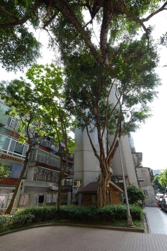 Modern Style Apt XinYi - image 10