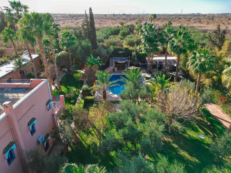 RIAD REDWAN - image 6