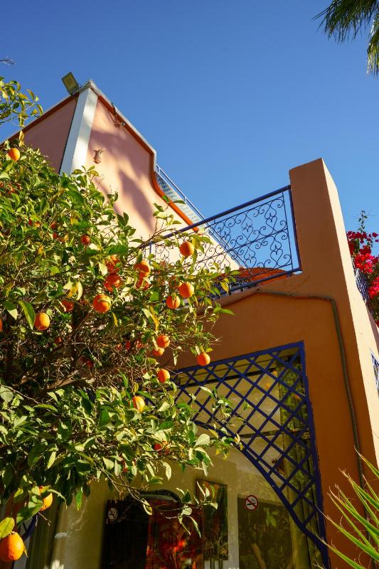 RIAD REDWAN - image 16