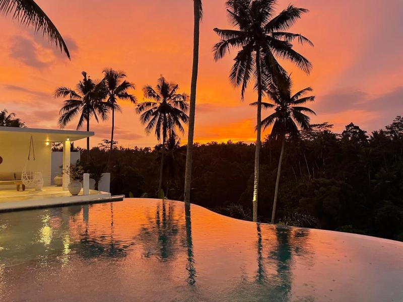 Villa Serenity Ubud - image 3