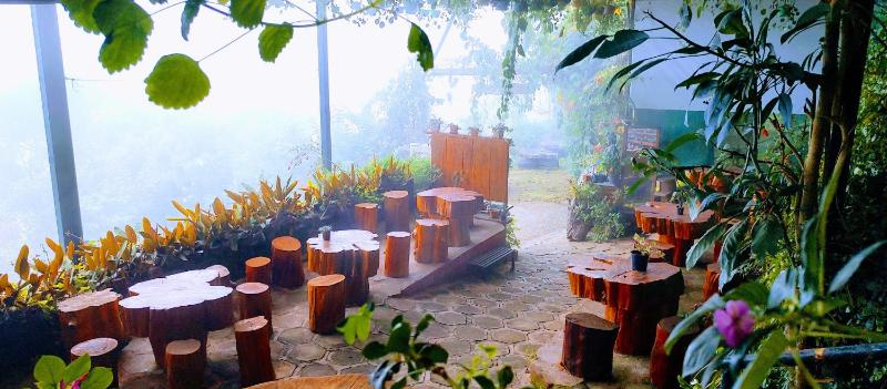 THE KODAI HAVEN - image 21