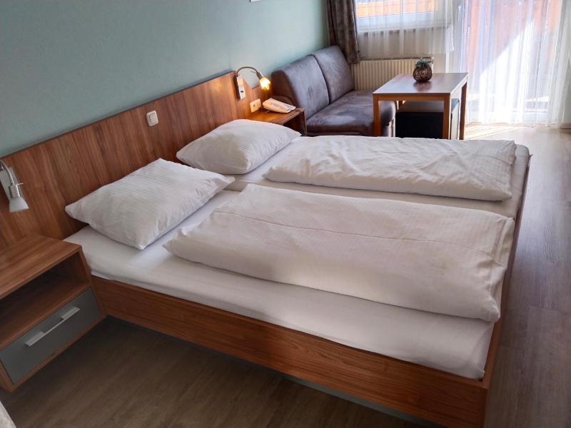 Deluxe Double Room with Extra Bed image 1