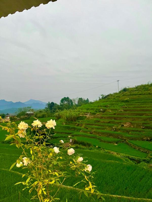 Hiếu Hương Homestay - image 29