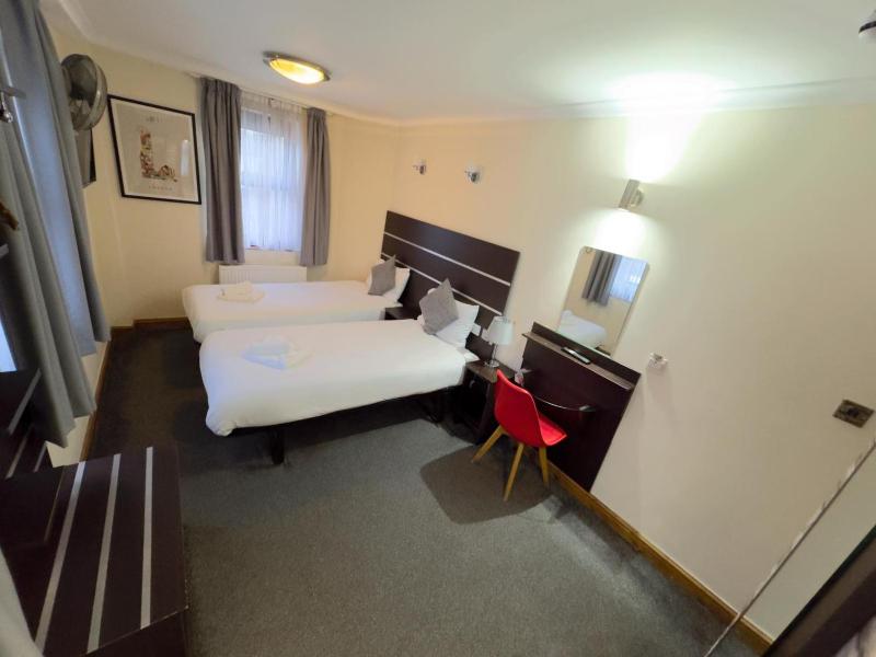 Deluxe Twin Room image 2