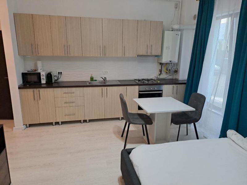 Studio Apartment image 4