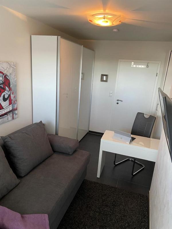 de Sülvermöw - image 4