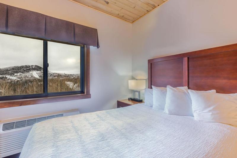 One-Bedroom Suite image 1