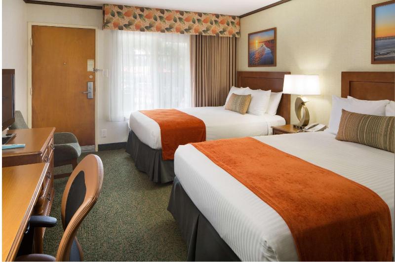 Double Room with Two Double Beds image 3