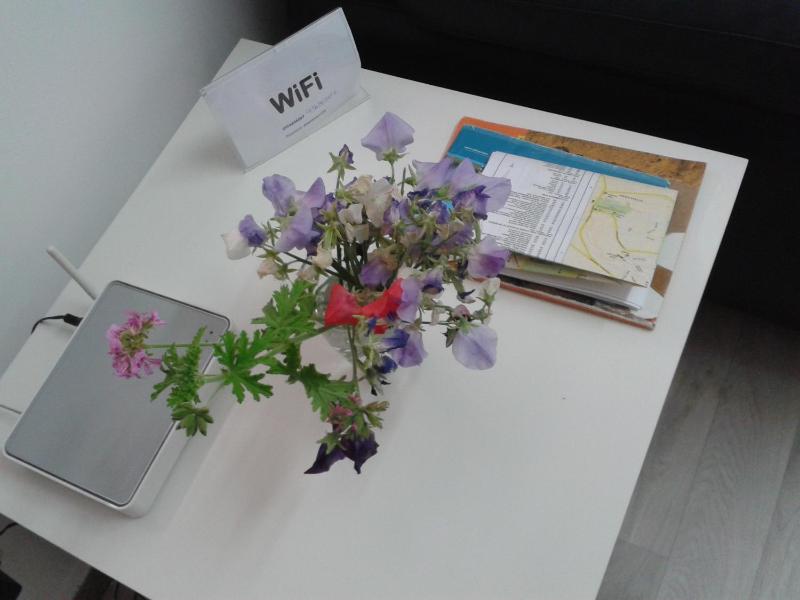 One-Bedroom Apartment with Balcony and Mountain View   image 4