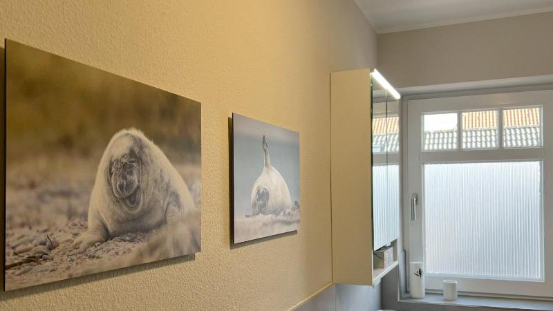 Haus-Brandung-Whg-07 - image 10
