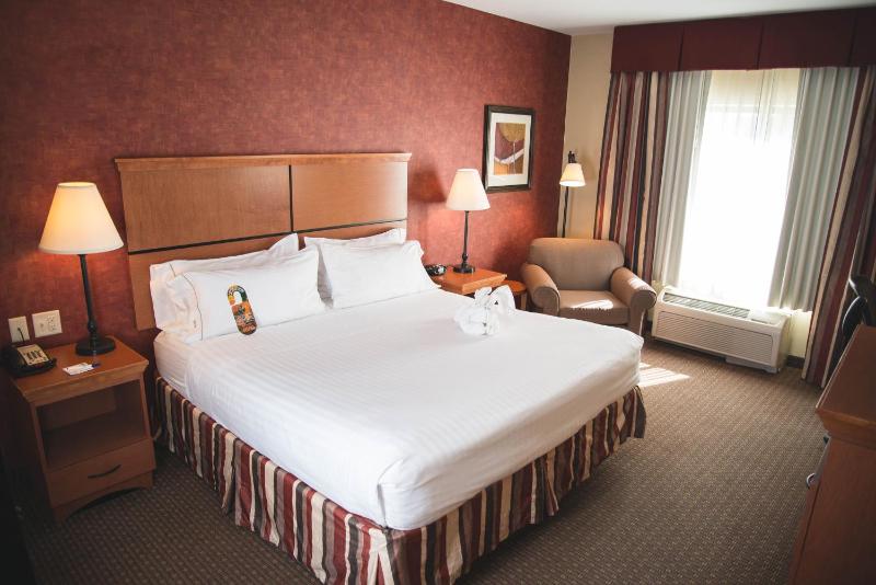 Standard King Room with Extra Space image 2