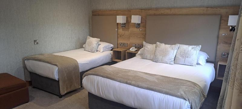 Deluxe Double or Twin Room image 4