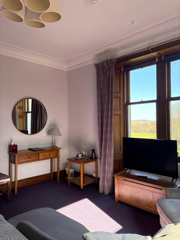 Superior King Room image 4