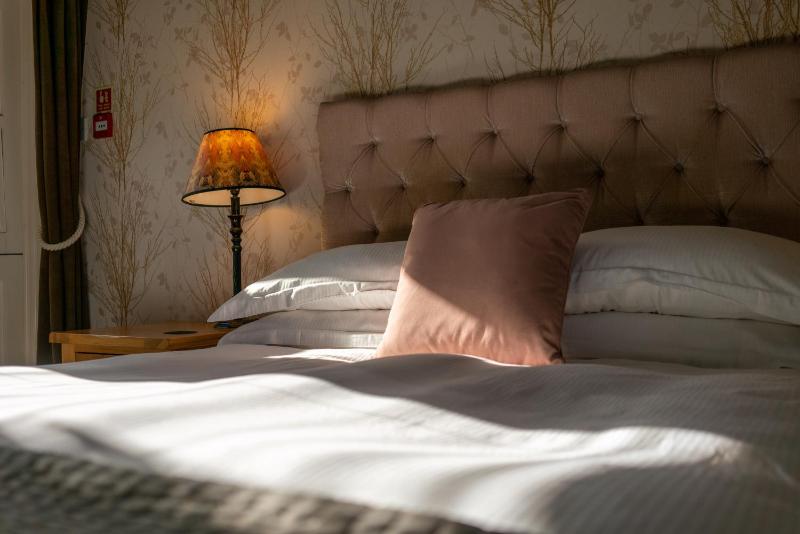 Comfort Room image 3