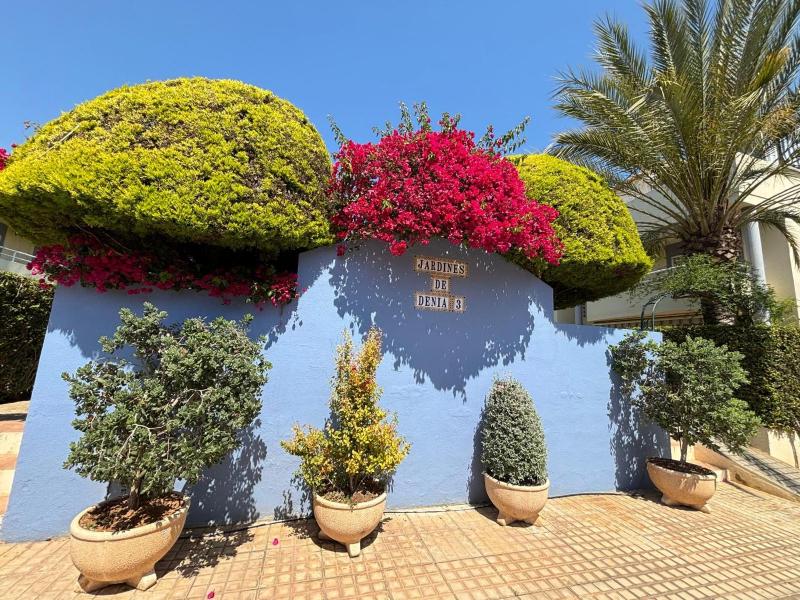 181 Jardines de Denia - image 2