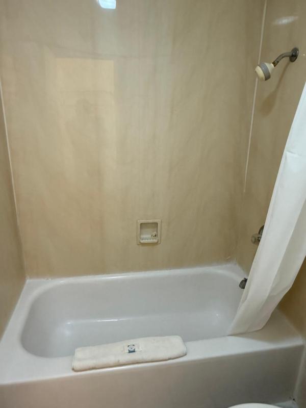Deluxe Family Suite image 2