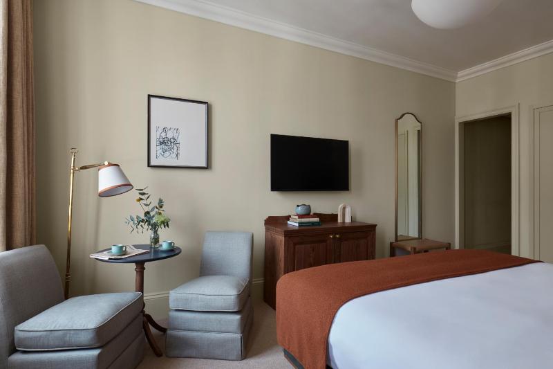 Deluxe King Room image 4