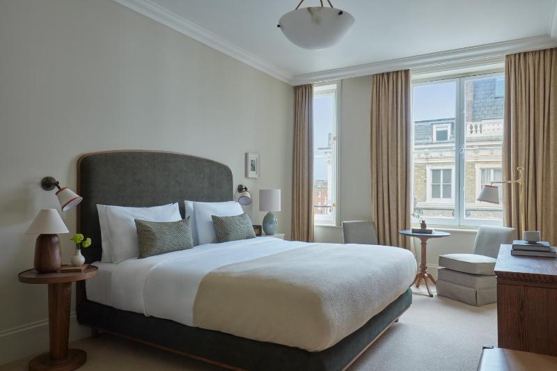 Deluxe King Room image 1