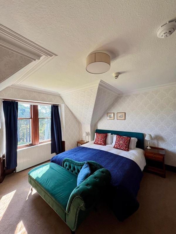 Superior King Room image 1