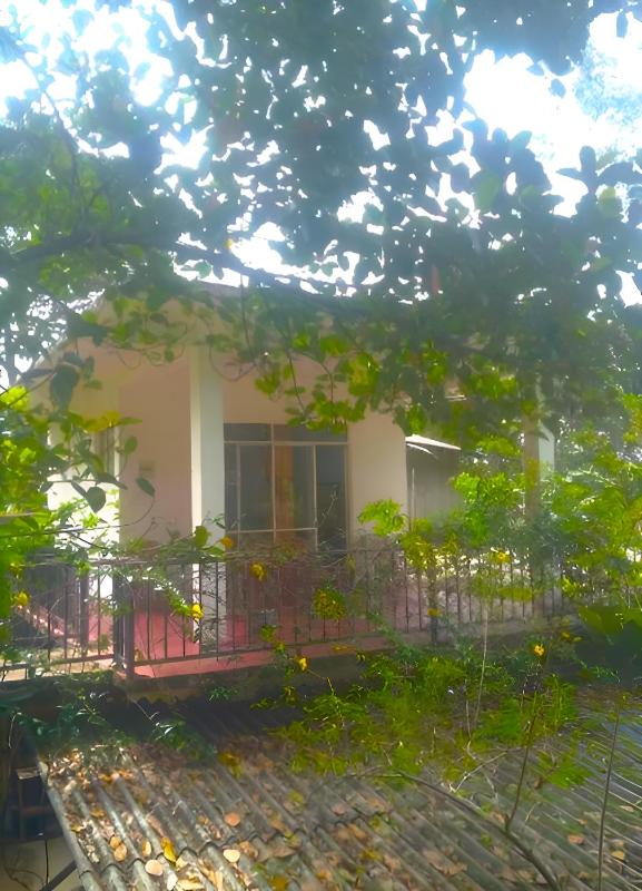 Senehas Homestay - image 11