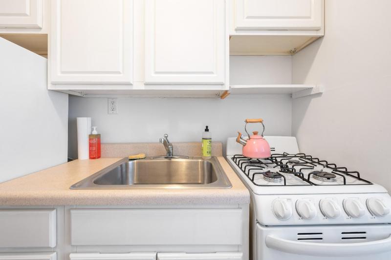 Lovely Apt Near Central Park - image 3
