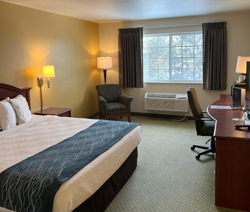 Standard Single Room image 2