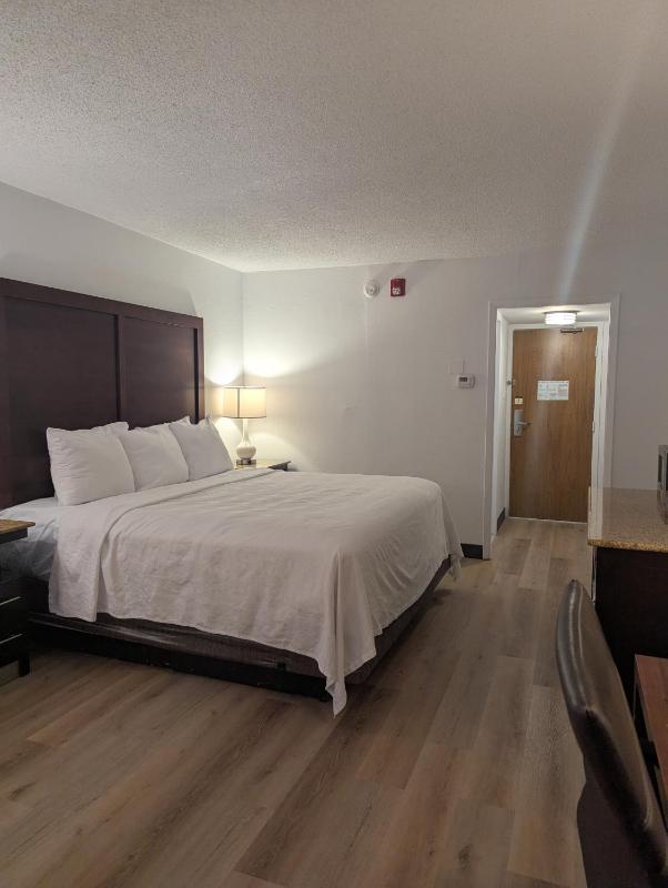 King Room - Non-Smoking image 4