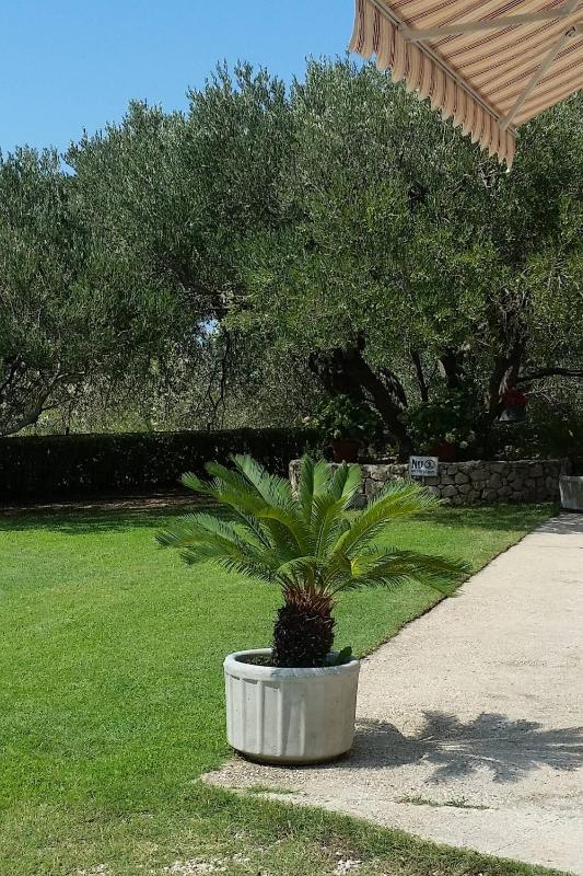 Apartments with parking space Makarska - 6768 - image 6