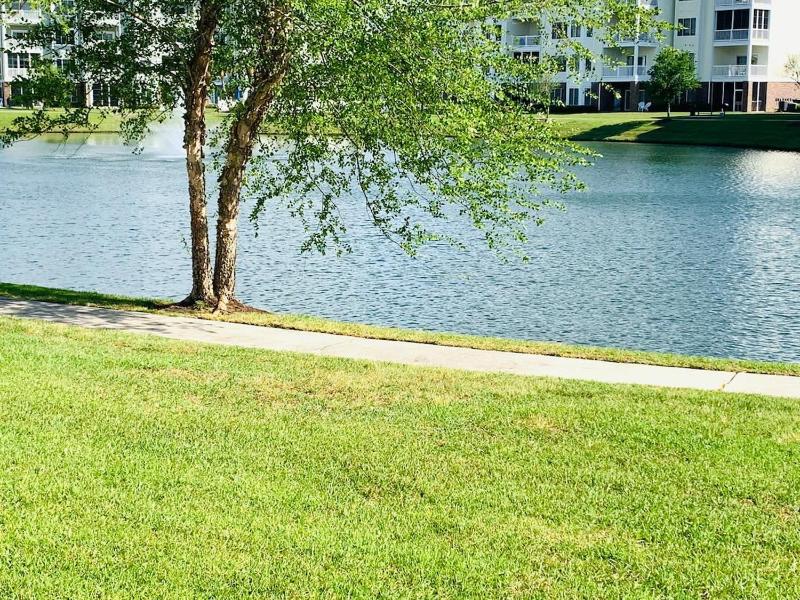 Astonishing view great condo at Myrtlewood Villas - image 1