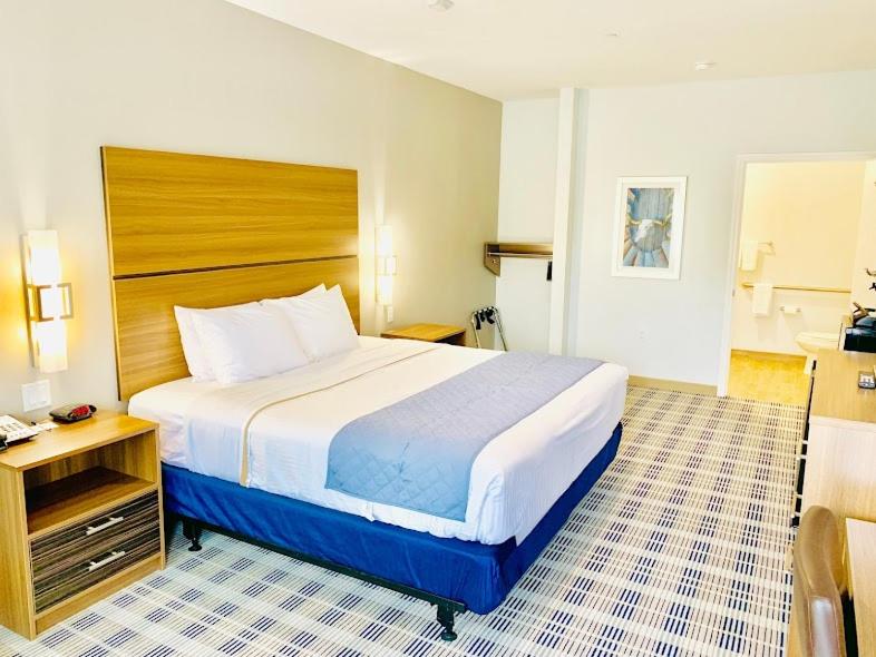 King Room image 2