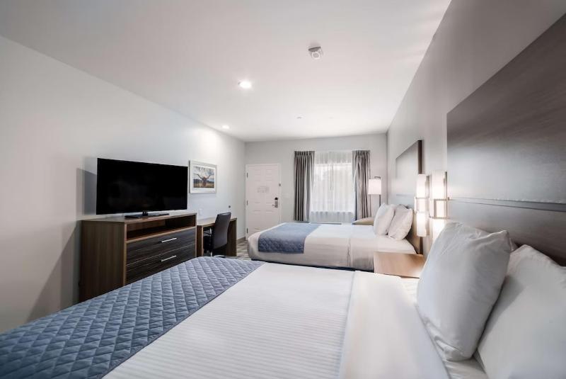 Queen Room - Disability Access image 2