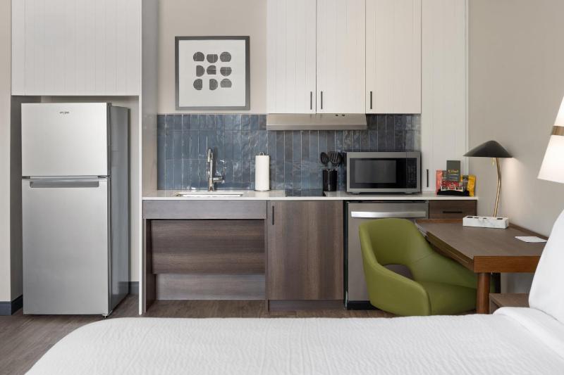 King Studio Suite image 4