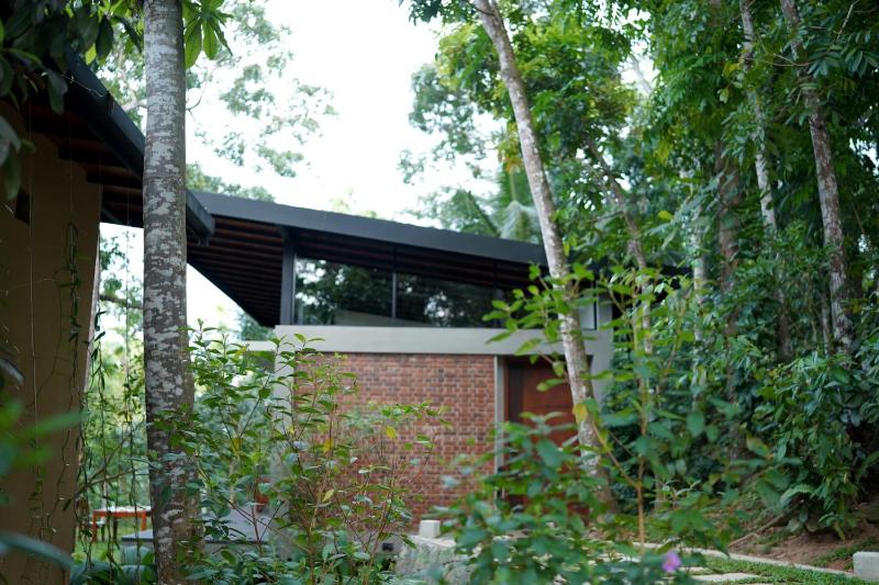 Sakun Arana - image 2