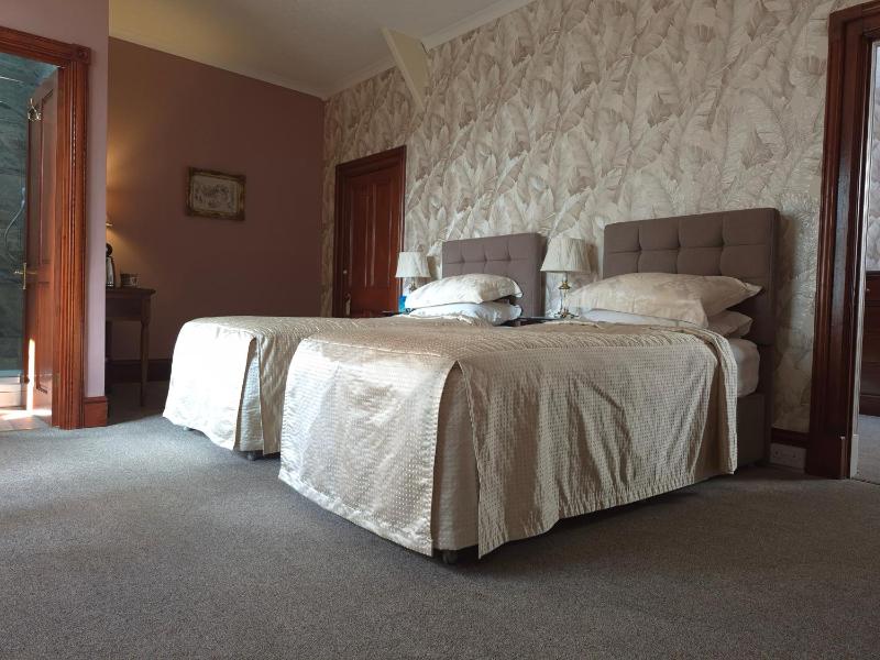 Luxury Twin Room image 3