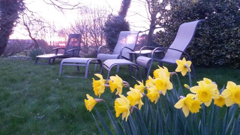 Orchard Lodge - image 20